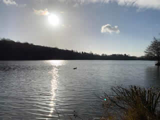 warm feb2